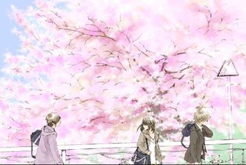 桃红tv官网
